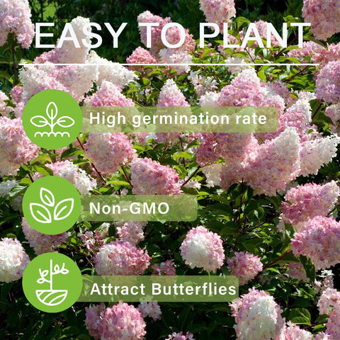 Carpet Creeping heirloom non-GMO seeds ensure authentic gardening results