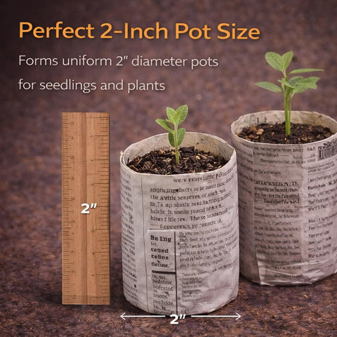 Carrot Design pot can be planted directly into soil for roots growth.