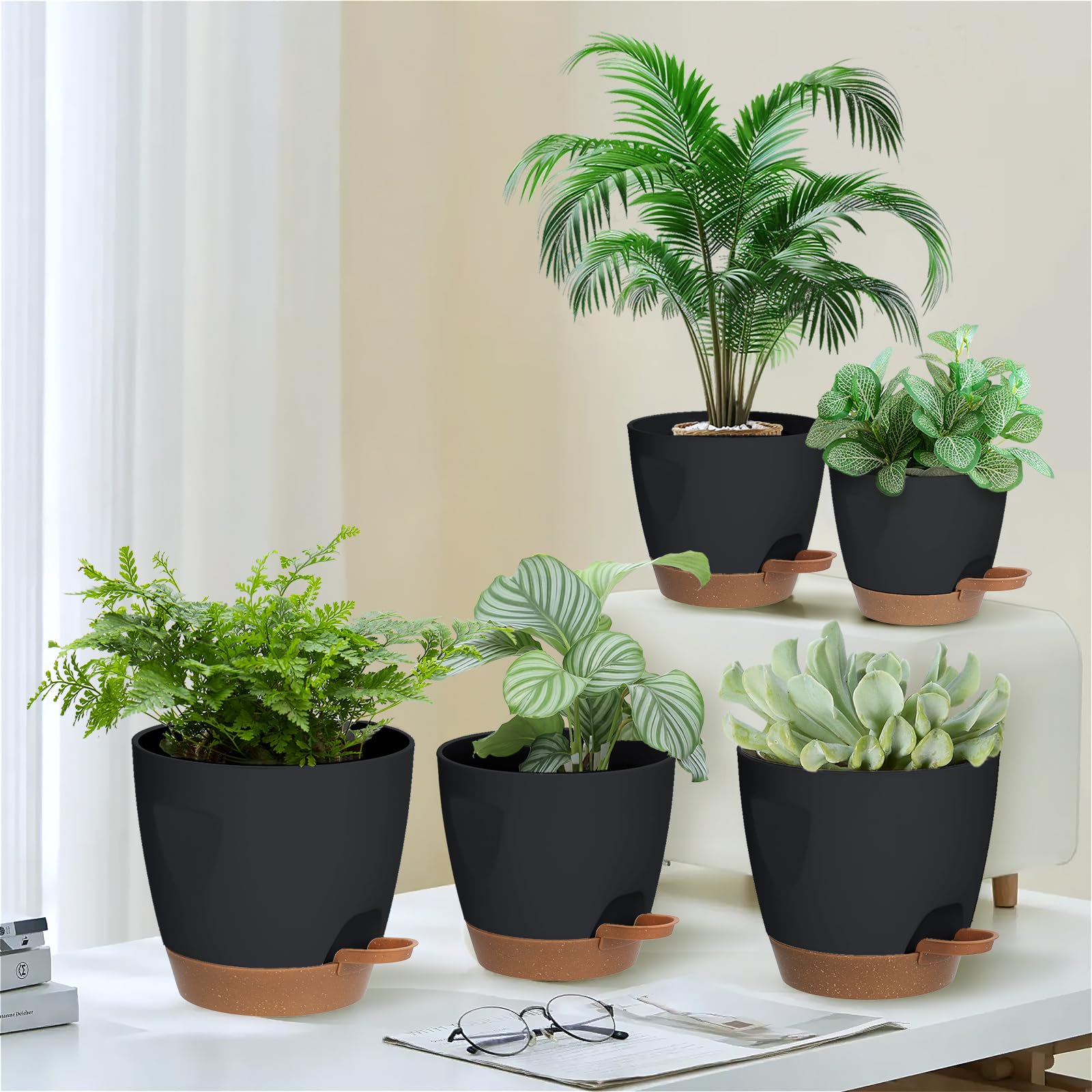 Carsapro 5-inch plant pot with drainage helps prevent overwatering.