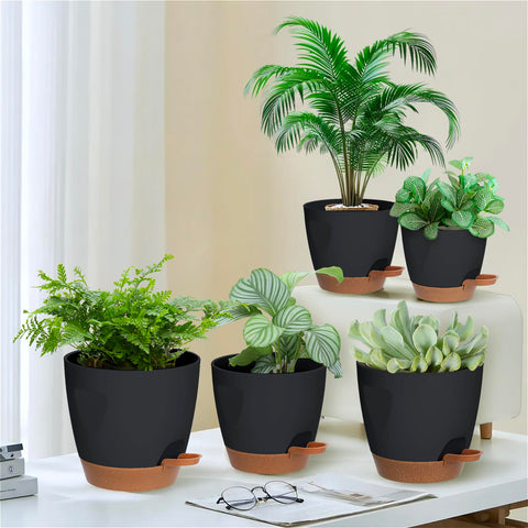 Carsapro 5-inch plant pot with drainage helps prevent overwatering.