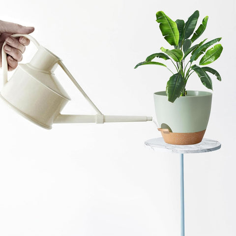 Carsapro 5-inch pot with tray elevates drainage and airflow.
