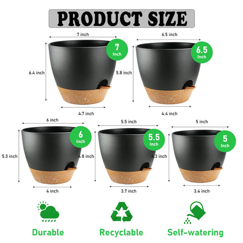 Carsapro 6.5-inch plant pot with drainage supports balanced moisture.