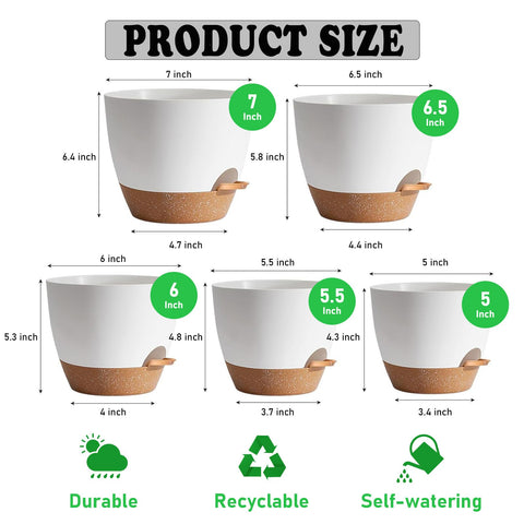 Carsapro 6.5-inch self-watering pot with tray, ideal for herbs.