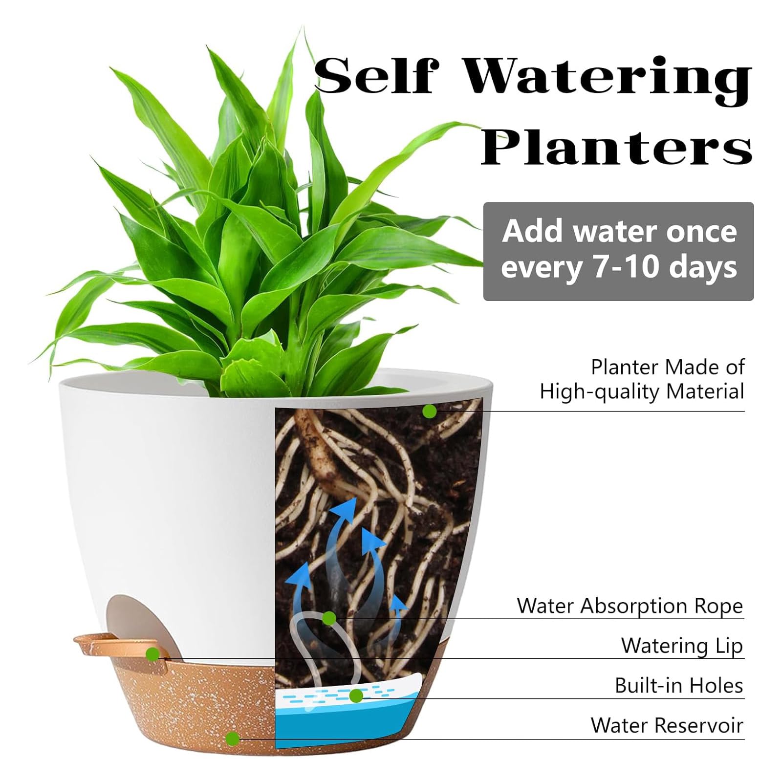 Carsapro 6-inch self-watering pot with drainage tray, supports healthy roots.