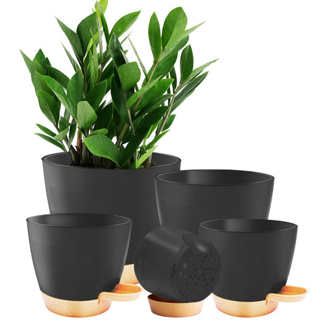 Carsapro 7-inch plant pot with drainage supports healthy root airflow.