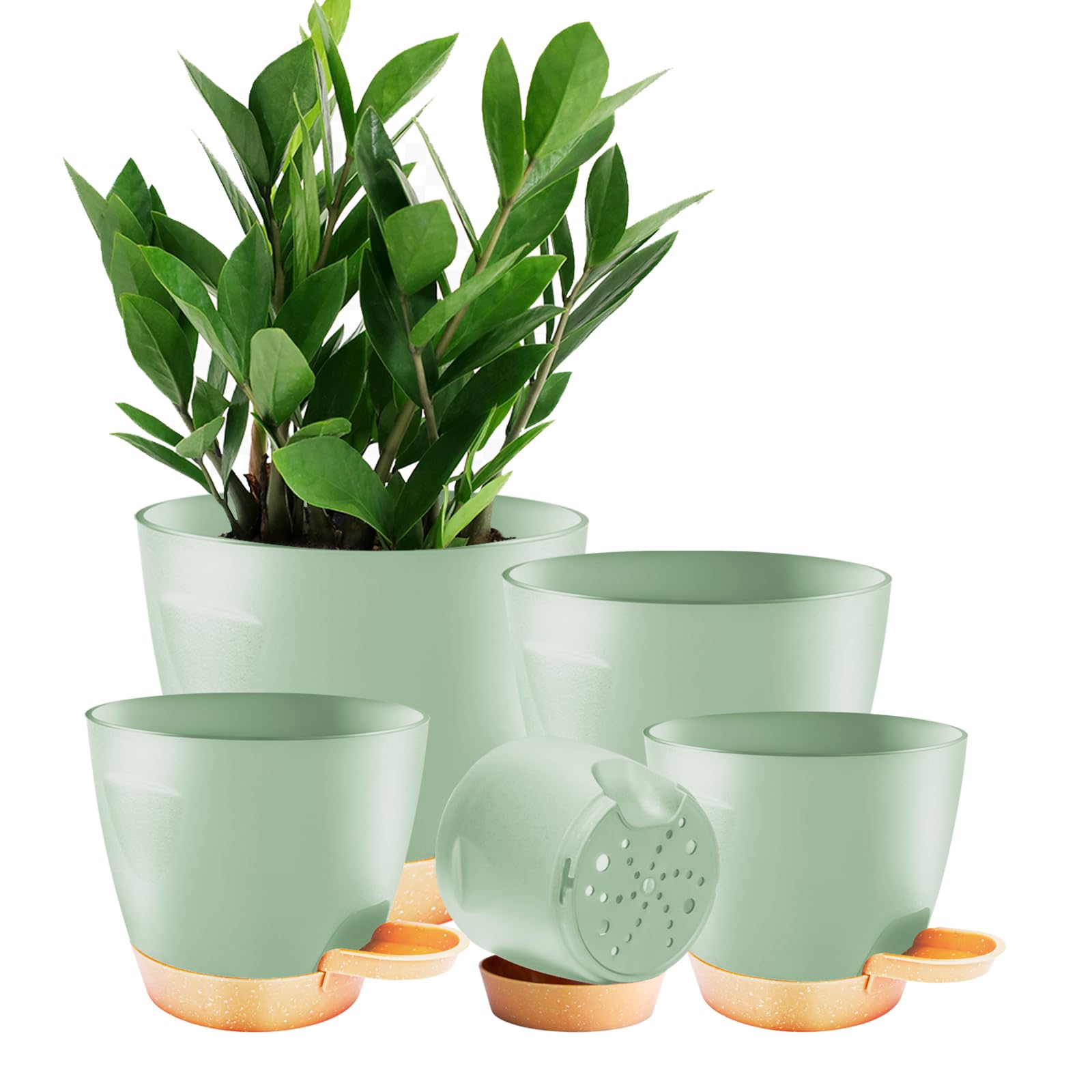 Carsapro 7-inch plant pot with drainage supports healthy roots.