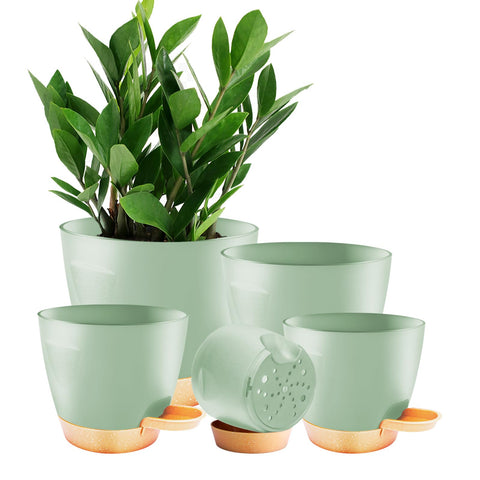 Carsapro 7-inch plant pot with drainage supports healthy roots.