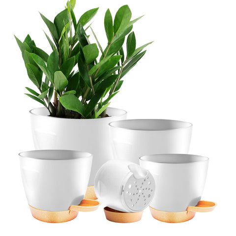 Carsapro 7-inch self-watering pot with tray for indoor succulents.