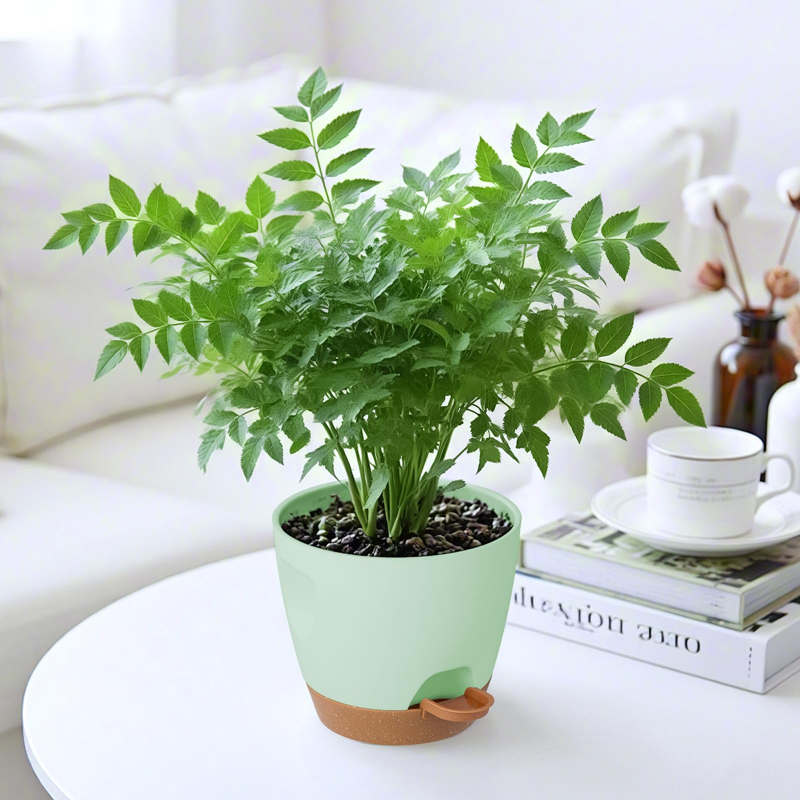 Carsapro green self-watering pots suit indoor and outdoor setups.