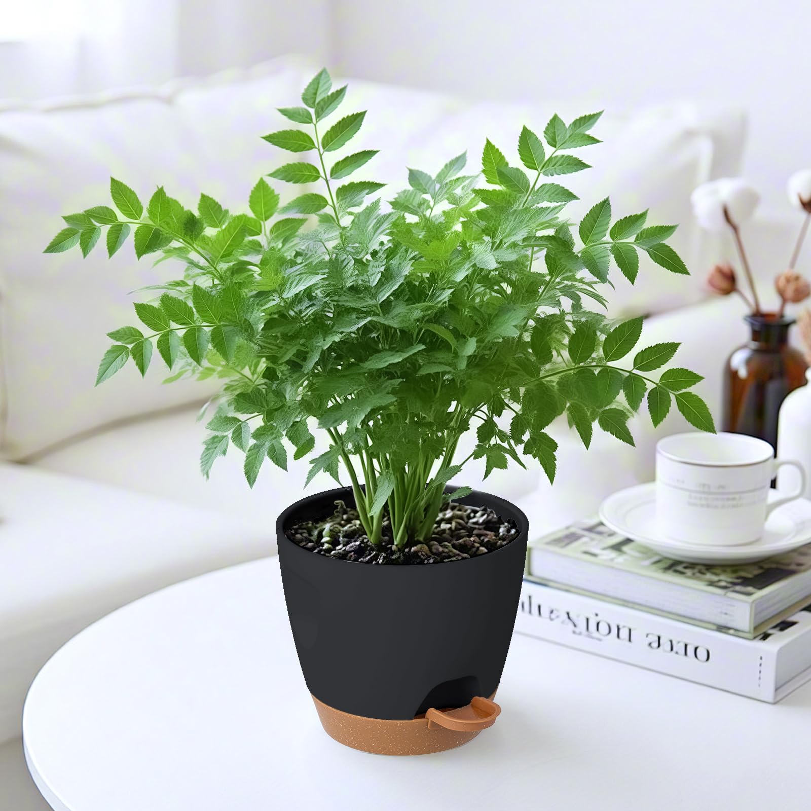 Carsapro complete growing system tray elevates pots for air circulation.