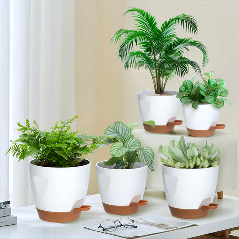 Carsapro integrated tray elevates pots for airflow and root health.