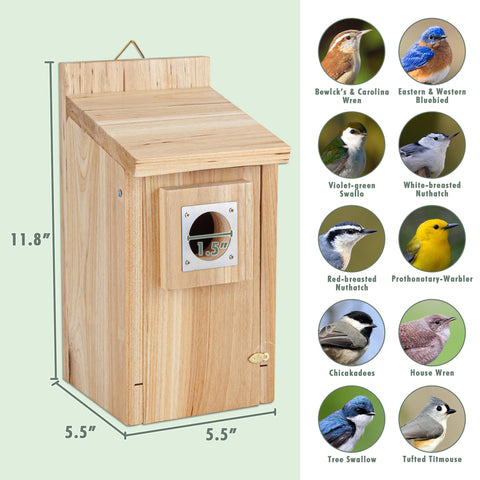 CARTMAN wooden bird house with pole design for feeding and guarding.
