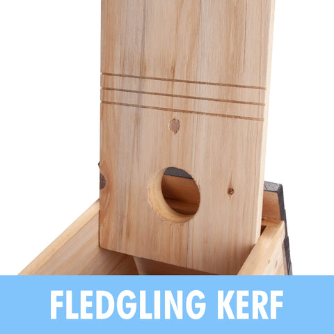 CARTMAN blue bird box detail highlights durable outdoor finish.