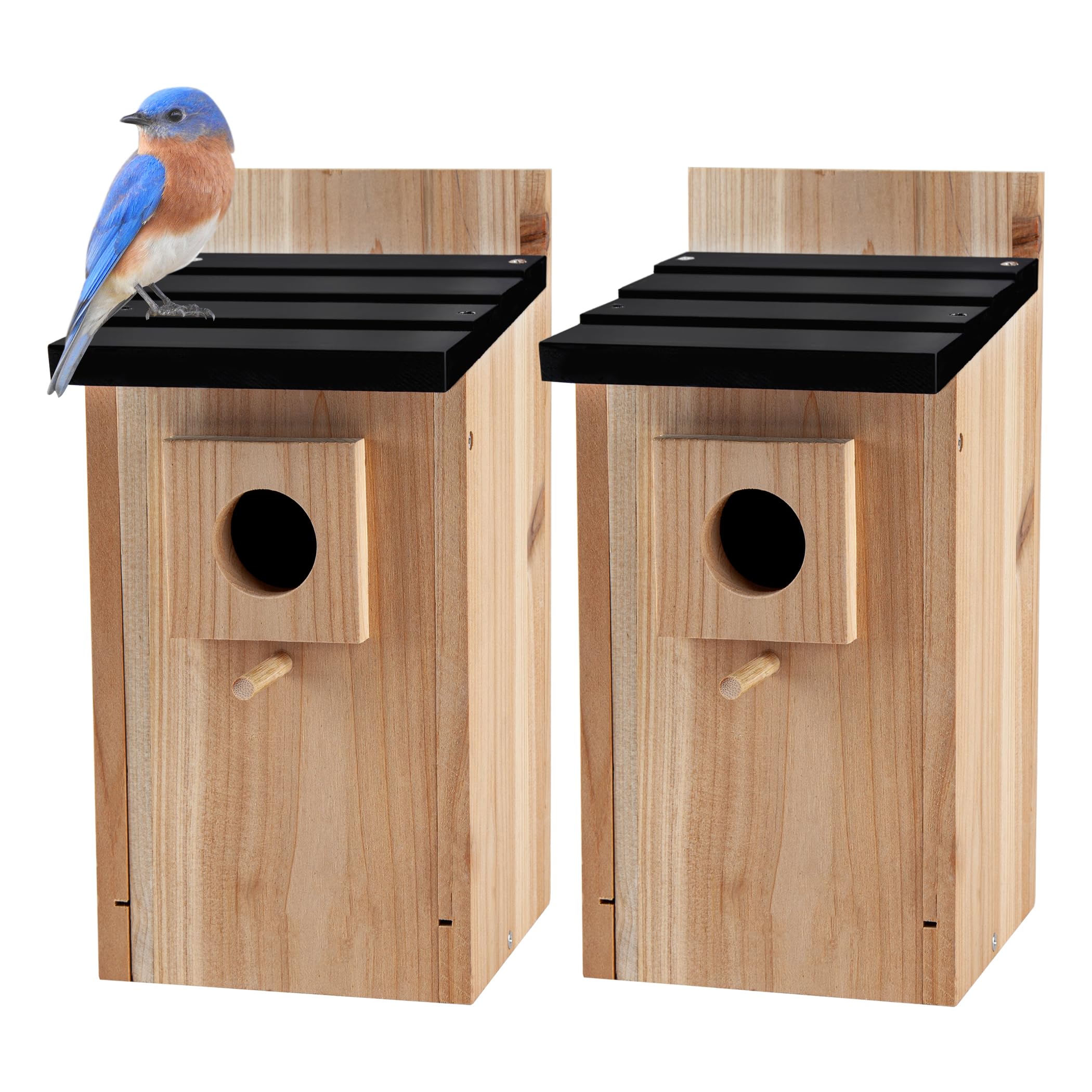CARTMAN blue bird box outdoors enhances garden charm while supporting safe nesting.