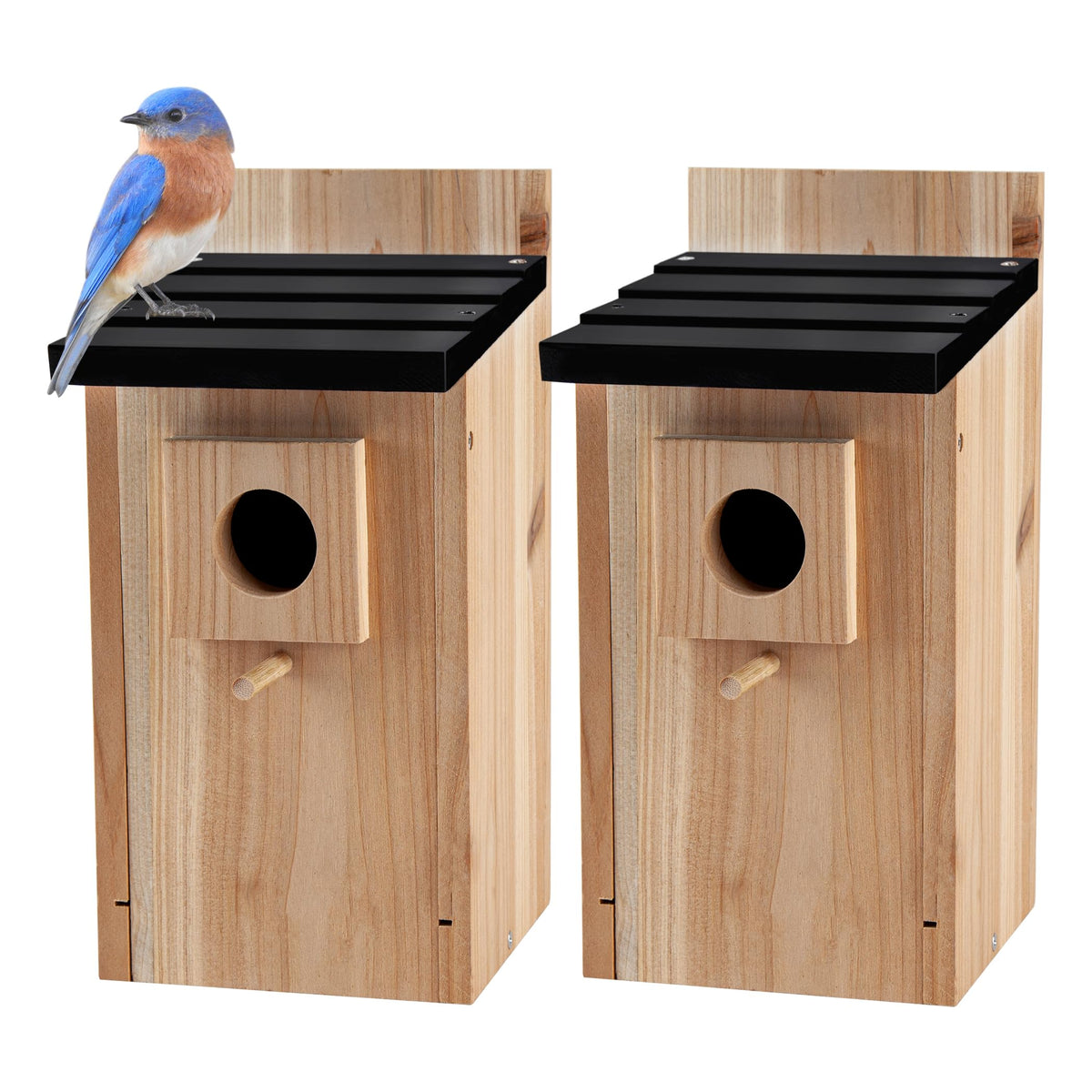 CARTMAN blue bird box outdoors enhances garden charm while supporting safe nesting.