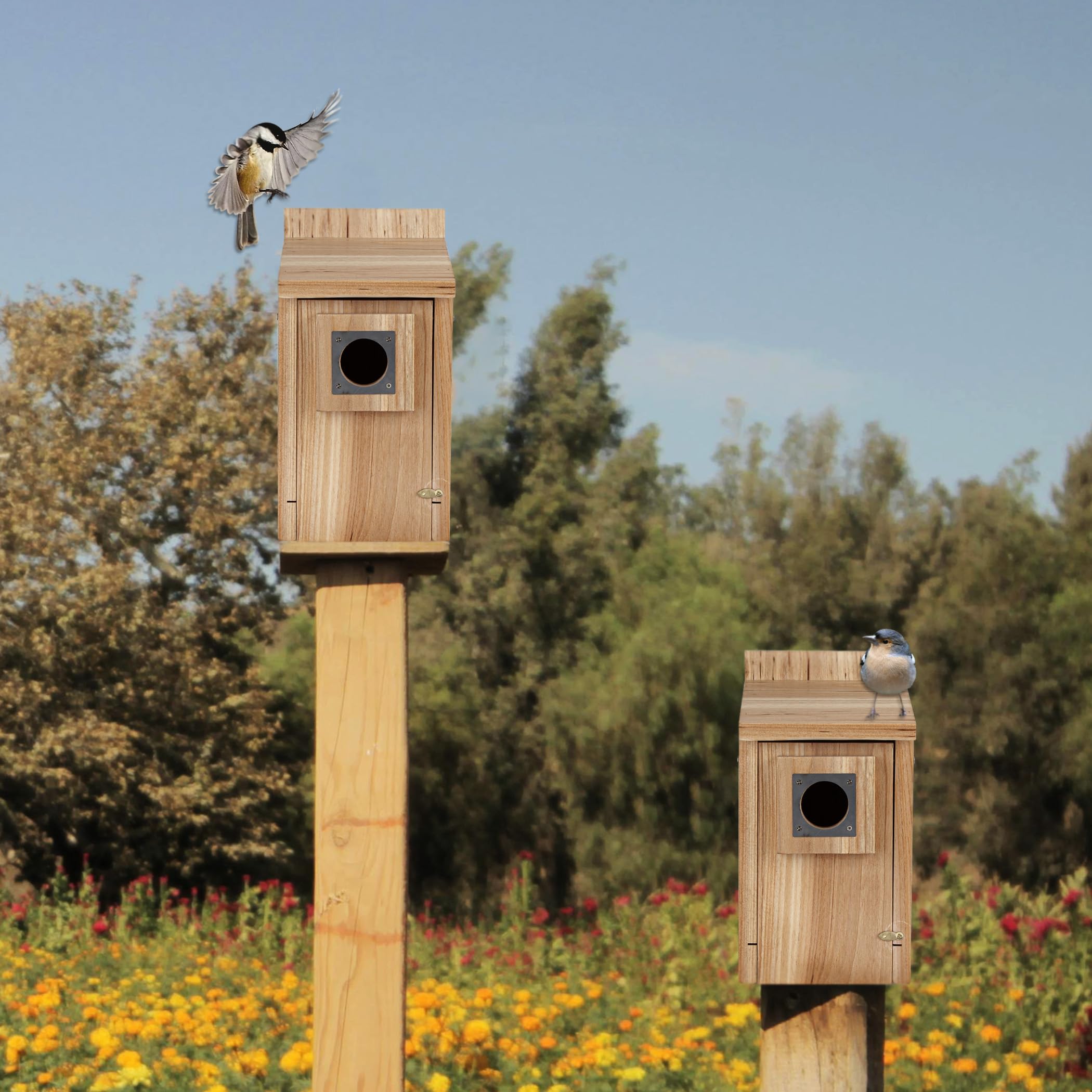 CARTMAN garden bird house set complements country cottage decor.