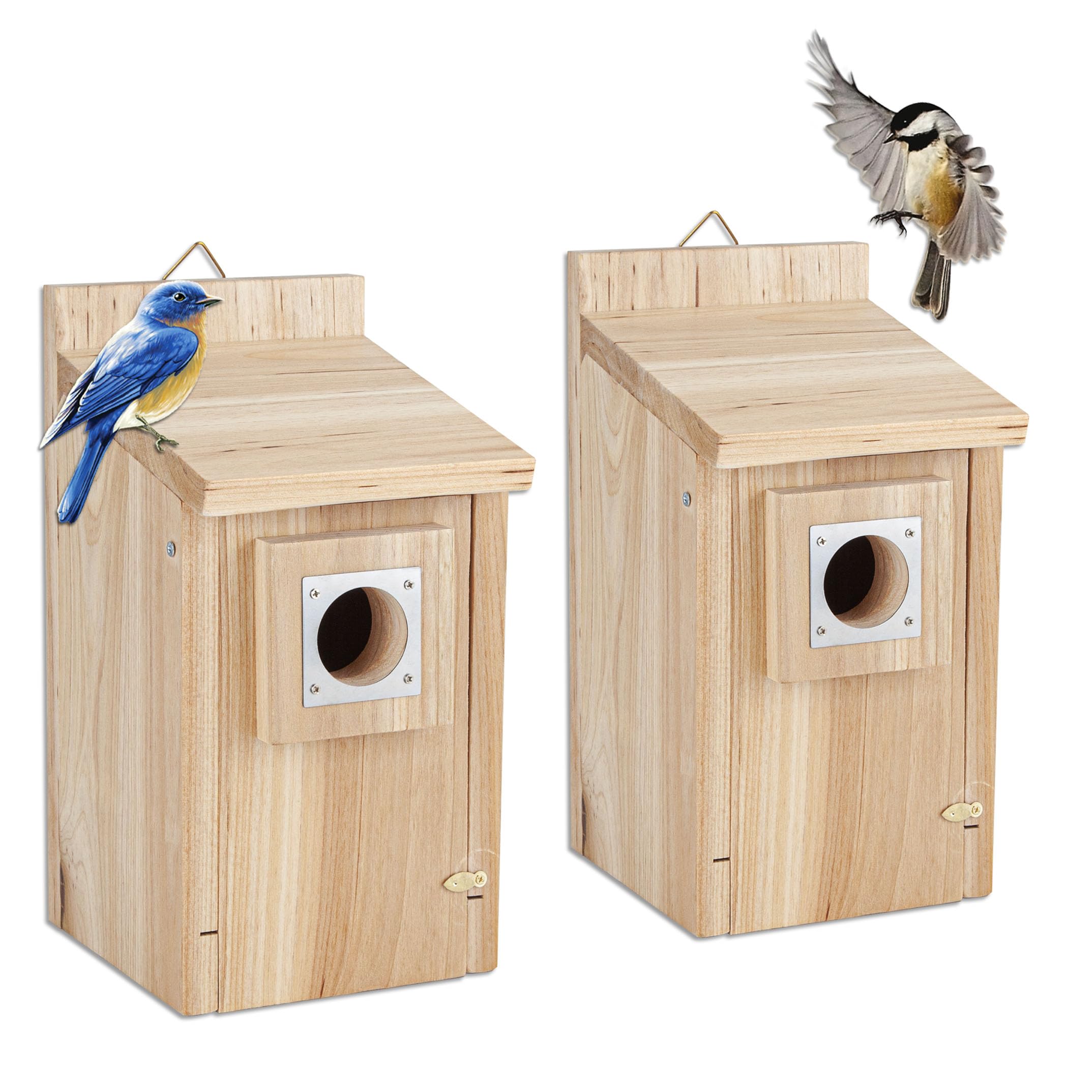 CARTMAN wood bird house with stainless guard for outdoor safety and durability.