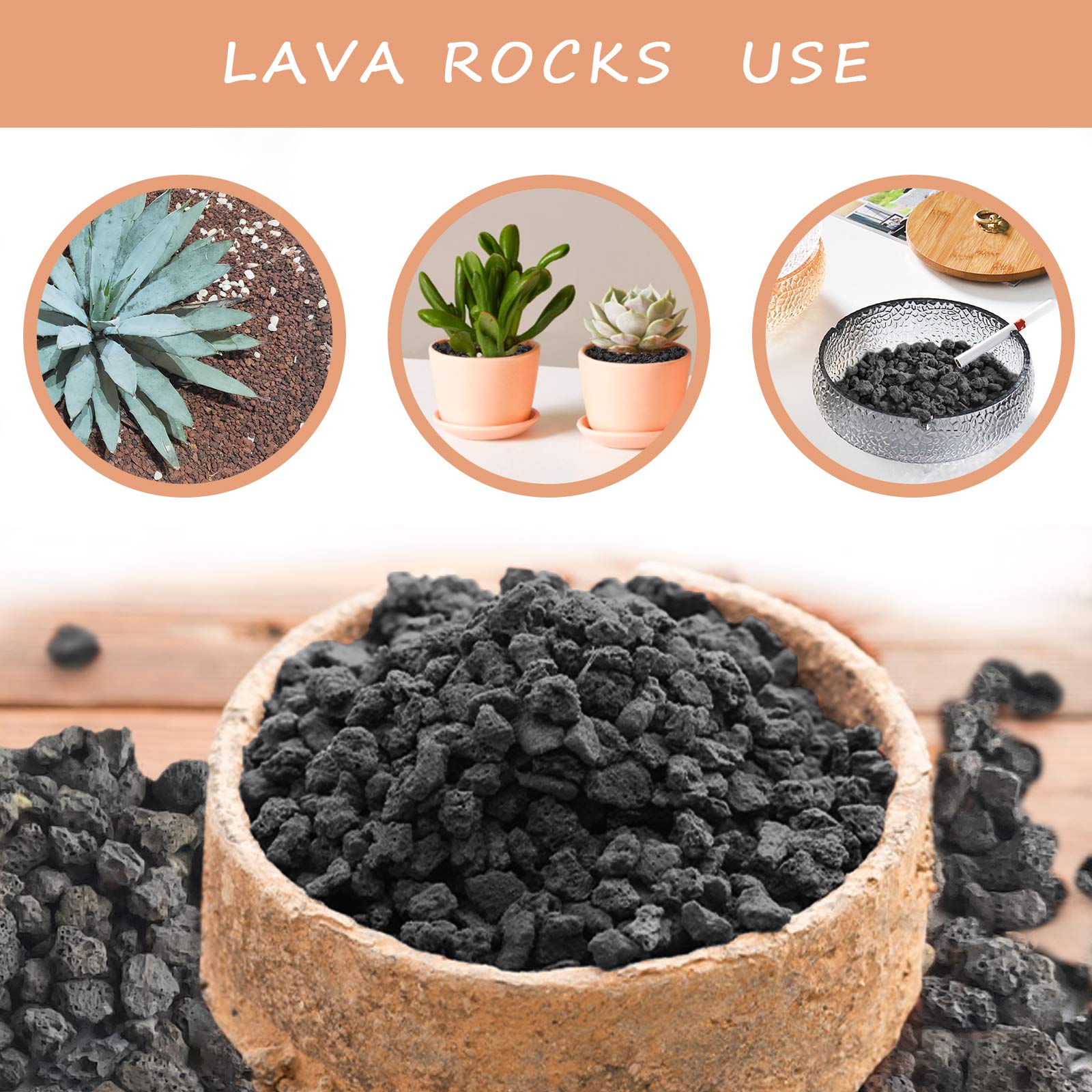 CARURBODY Bonsai layer using lava rocks for drainage and structure
