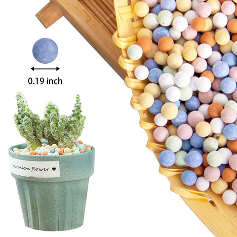 CARURBODY Ceramsite supports succulents and bonsai with airy drainage.