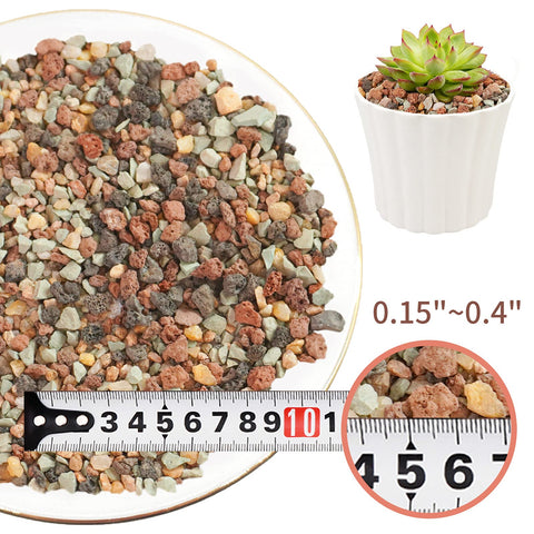 Fairy garden with CARURBODY Color Lava Rocks for creative soil accents.