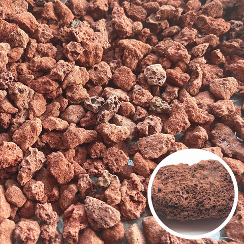 CARURBODY red lava rock top dressing improves drainage and root health