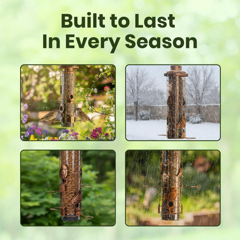 Casadia Nest four hook-shaped perches supporting natural feeding