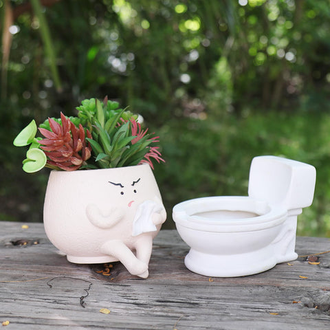 Casania face pot desk setup, ideal indoor greenery accent