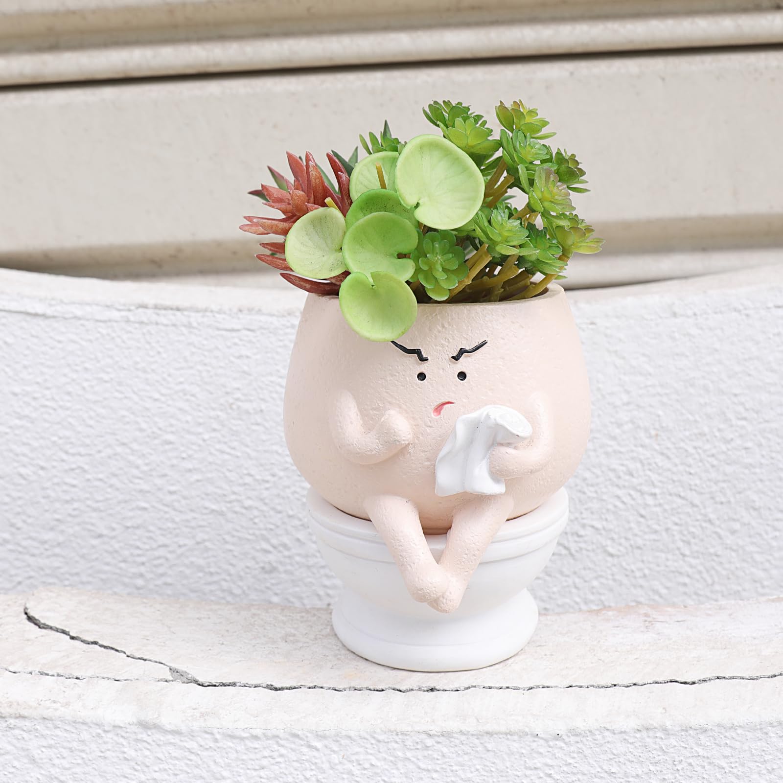 Casania Face Pot toilet planter close-up for playful desk decor