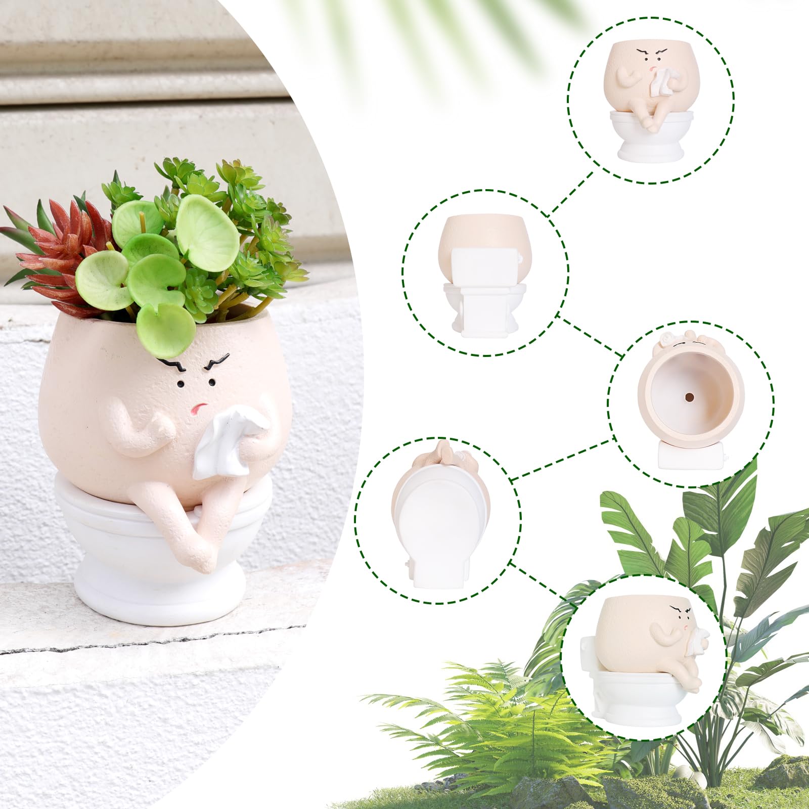 Casania gift packaging included, ideal quirky plant gift