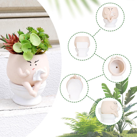 Casania gift packaging included, ideal quirky plant gift