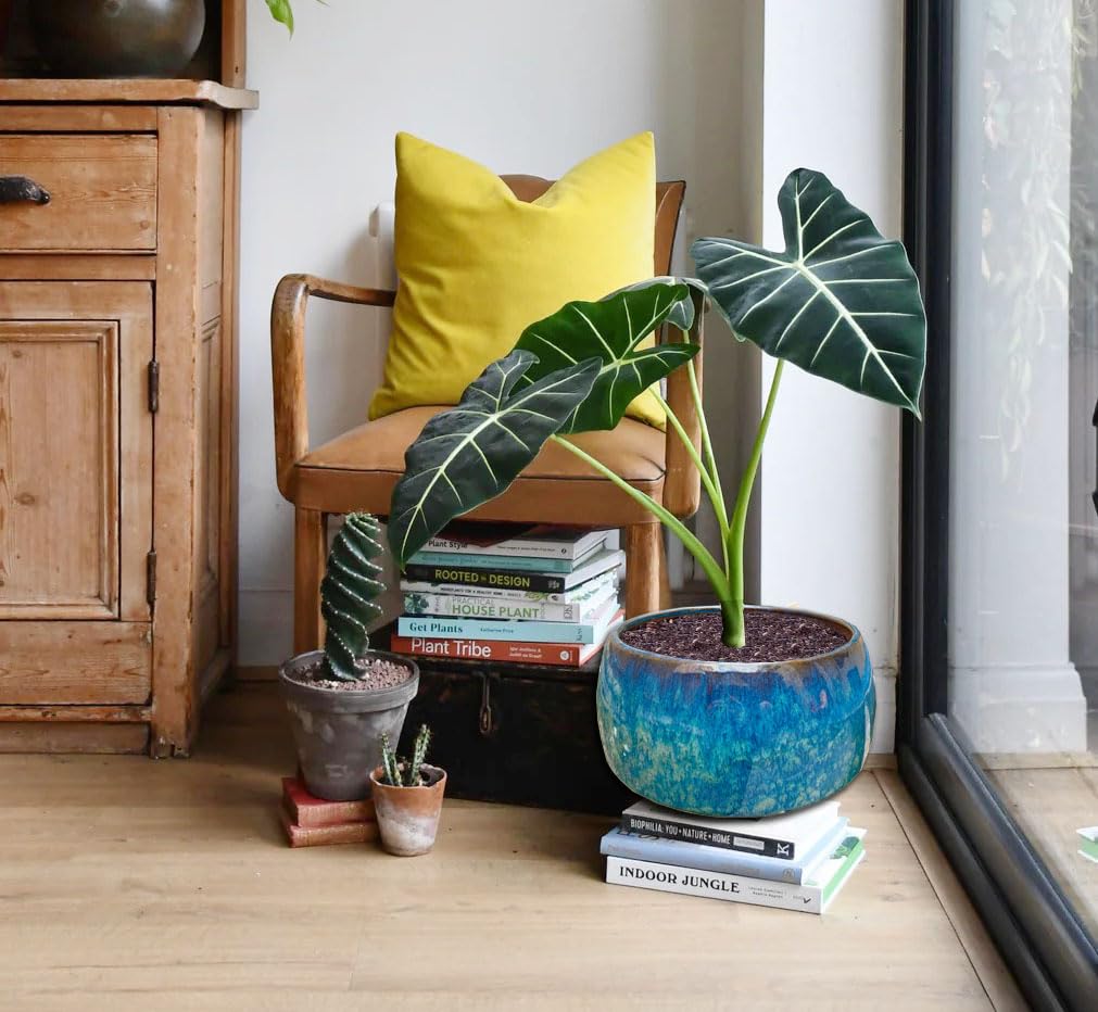 Casktcom Large blue-green stoneware planter adds modern style to home decor.