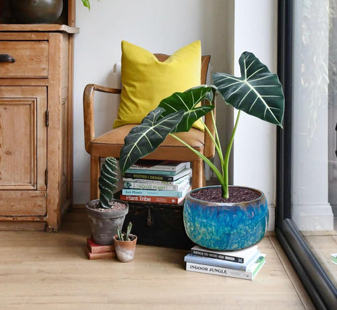 Casktcom Large blue-green stoneware planter adds modern style to home decor.