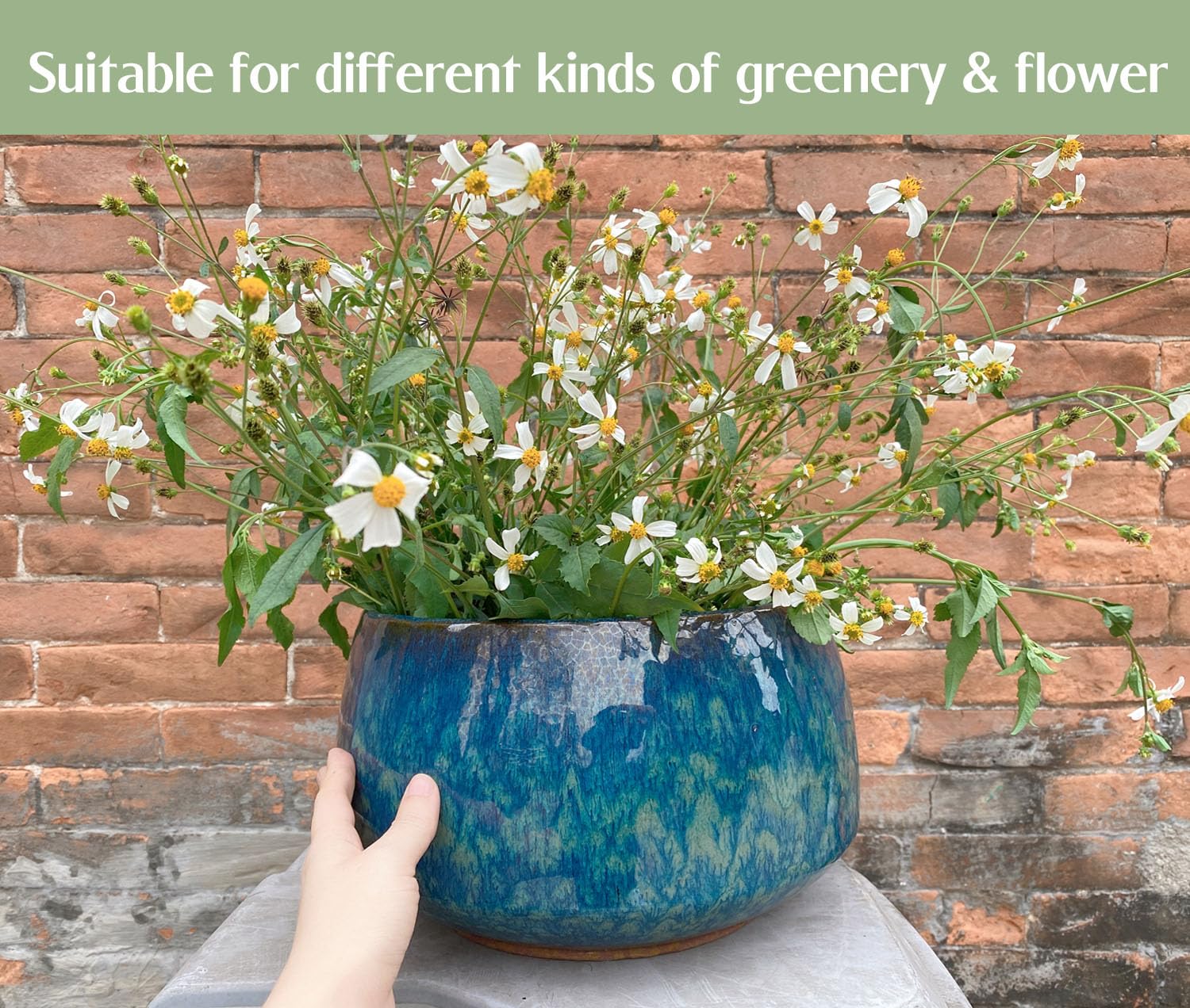 Casktcom Indoor-outdoor planter fits monstera, succulents, and small trees.