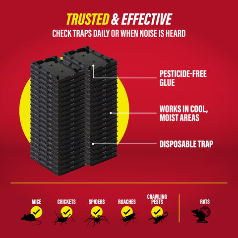 Catchmaster 40 indoor pest control for tight spaces.