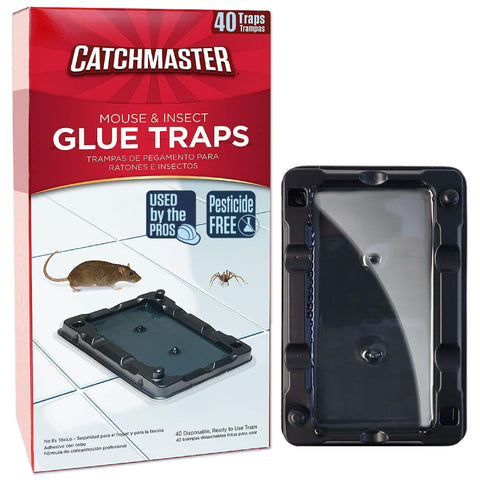 Catchmaster 40 glue trap—front view, effective indoors for mice and insects.