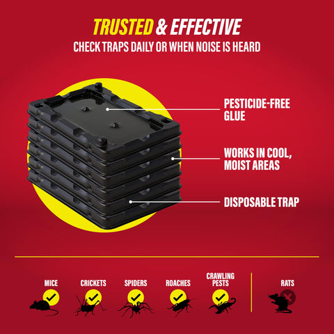 Catchmaster 6 compact trap fits narrow spaces for thorough coverage.