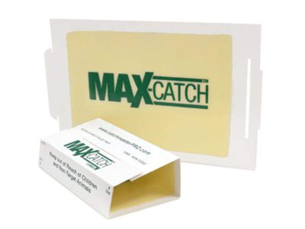 Catchmaster 72MB flat glue board ready for baseboard placement.