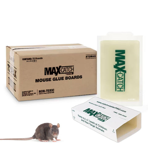 Catchmaster 72MB glueboard laid flat for mice and insects with peanut butter scent.