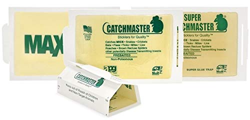 Catchmaster 72MB indoor placement near walls keeps areas pest-friendly.