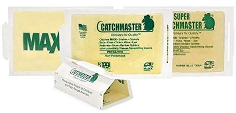 Catchmaster 72MB indoor placement near walls keeps areas pest-friendly.