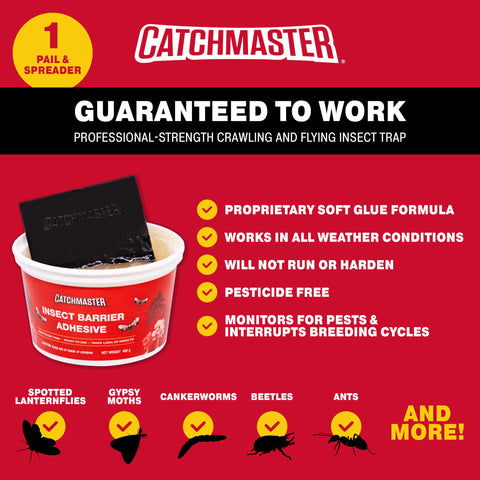 Catchmaster adhesive application close-up demonstrates uniform coverage on bark