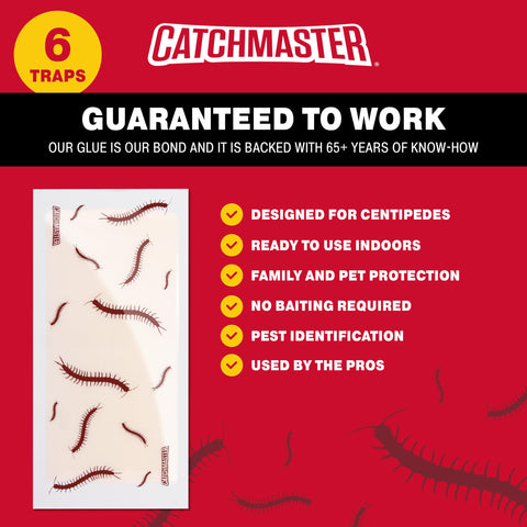 Catchmaster Centipede XL glue board close-up adhesive detail for strong trapping.
