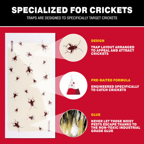 Catchmaster Cricket XL placed indoors demonstrates pesticide-free pest control