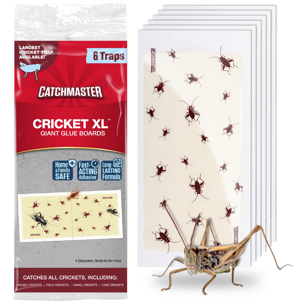Catchmaster Cricket XL glue trap setup shows ready-to-use board along pest pathways