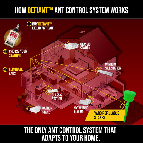 Catchmaster Defiant ant trap for yard protection across outdoor spaces.