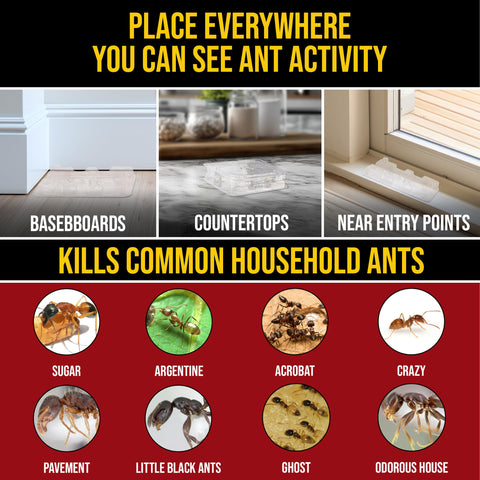 Fast-acting formula reduces ant activity quickly.