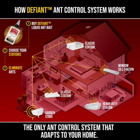 Indoor/outdoor placement options for effective ant control.