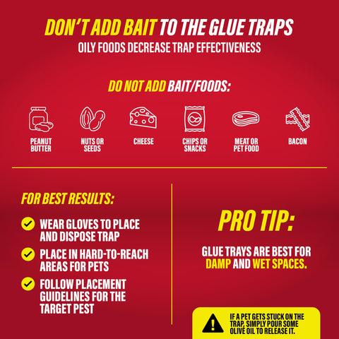 Catchmaster adhesive trap along pathways for effective coverage in homes.