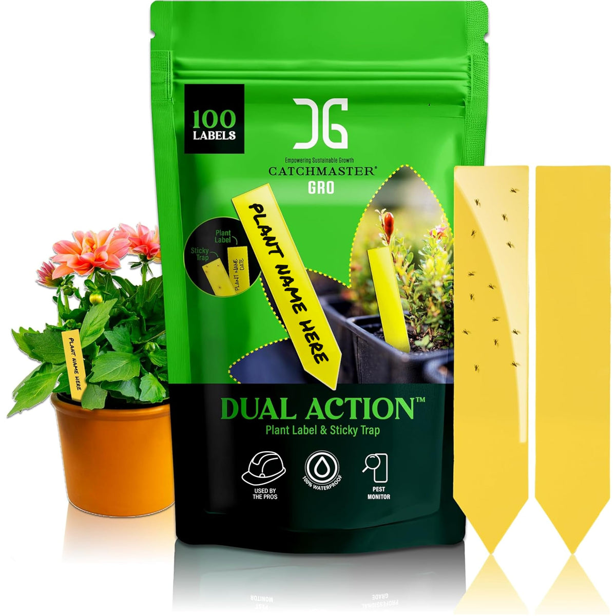 Catchmaster Dual Action plant labels with 100-pack for marking plants and monitoring pests
