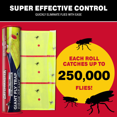 Catchmaster fly trap adhesive paper closeup highlighting sticky surface for capture.